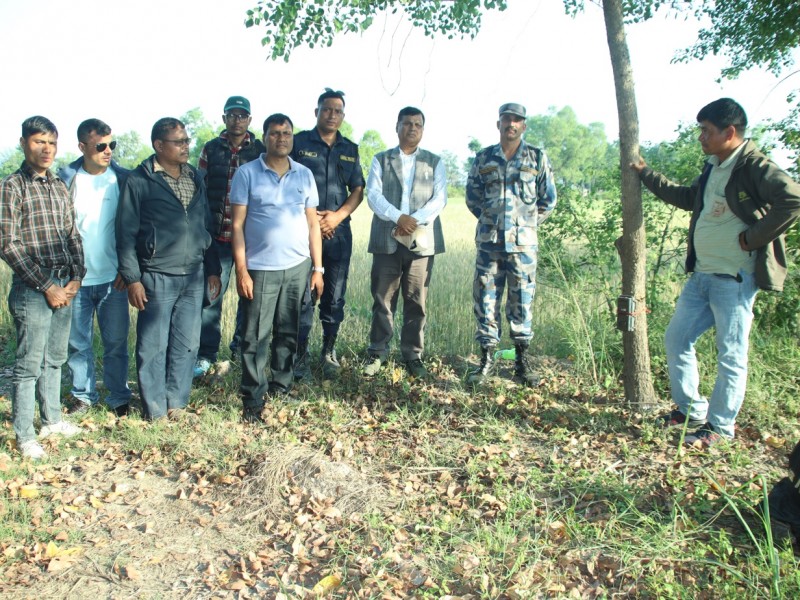 कञ्चनपुरको दक्षिणी क्षेत्रका गाउँ पस्ने बाघको पहिचान गर्न स्वचालित क्यामेरा जडान